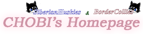 Chobi's Homepage